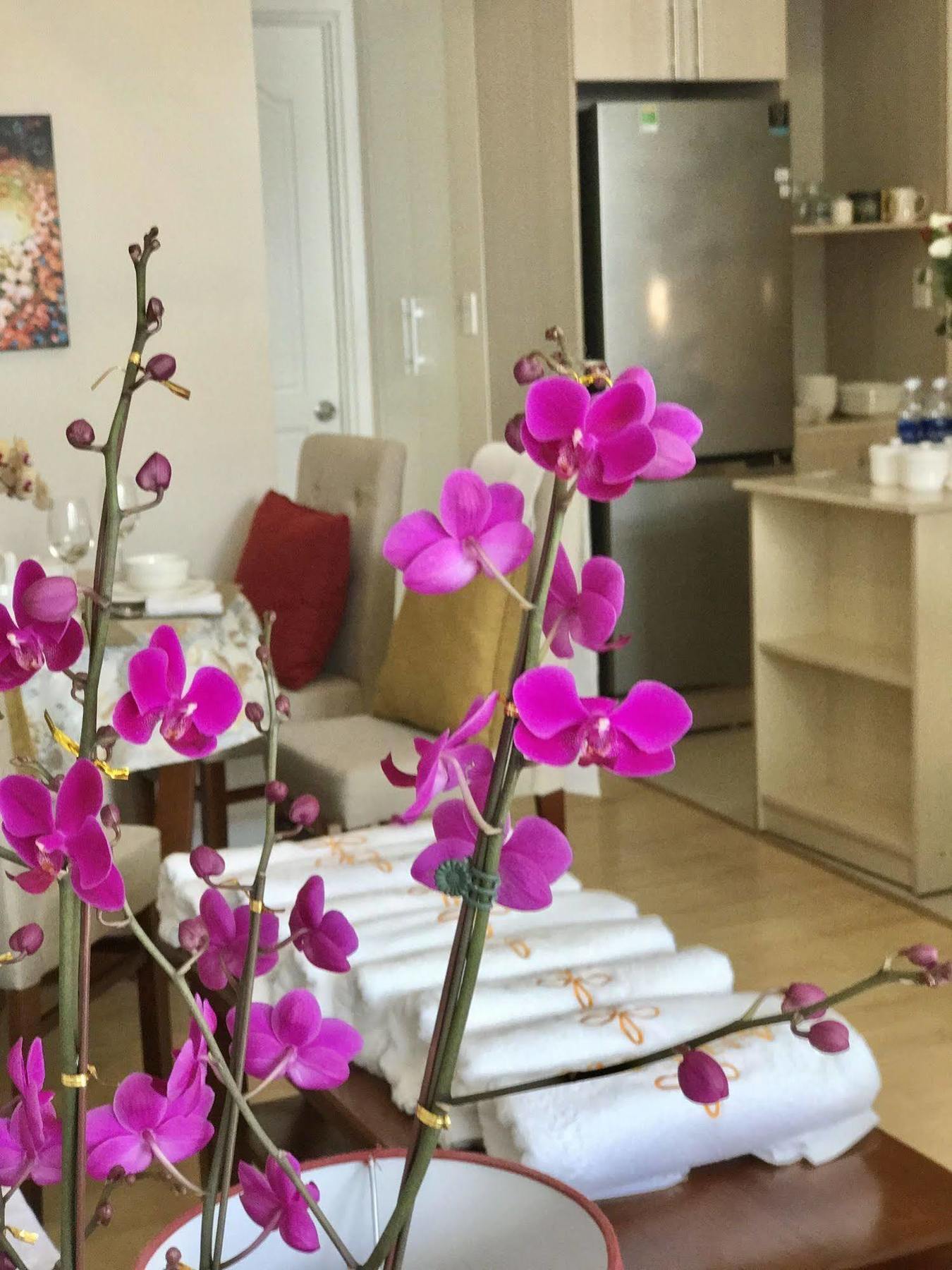Anada Hotel Suites Νταλάτ Εξωτερικό φωτογραφία